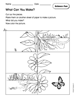 Science Fun: What Can You Make?