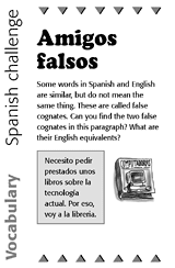 Spanish Vocabulary Challenge: False Cognates