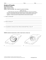 Activity: Types of Fossils