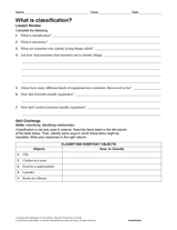 What Is Classification?